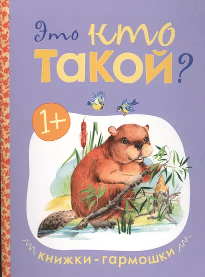 Книжки-гармошки. Это кто такой? - фото 1