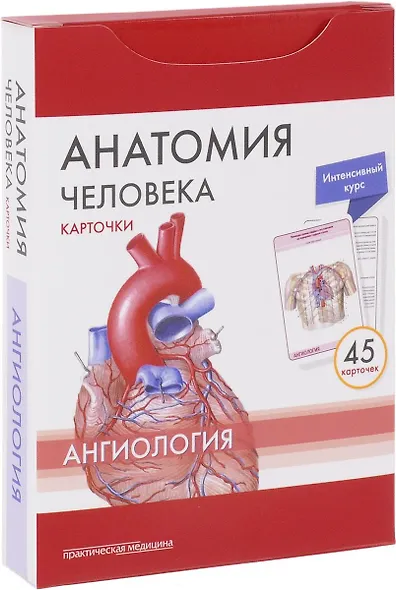 Анатомия человека Ангиология (45 карт.) (упаковка) Сапин - фото 1