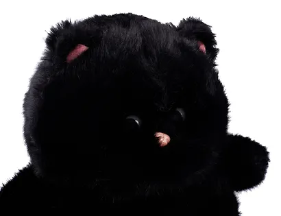 Мягкая игрушка Котик с щечками (черный) (35см) (12-0960-202411-T15) Bookvalno - фото 2