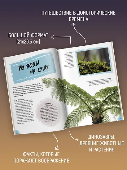 Эра динозавров. Жизнь в доисторические времена - фото 4