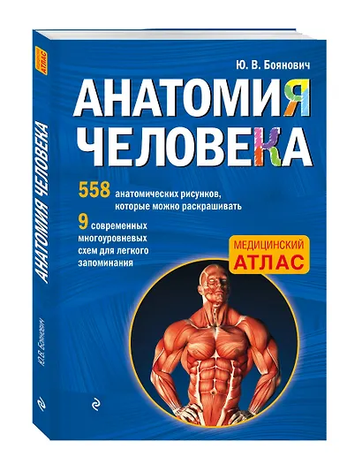 Анатомия человека со страницами для раскрашивания - фото 3