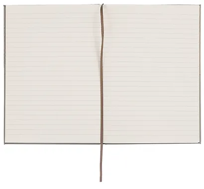 Книга для записей А5 80л лин. "Ideas & Things" зел., Schiller - фото 3