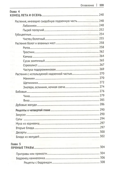 Кухня Робинзона. Рецепты блюд из дикорастущих и декоративных растений - фото 5