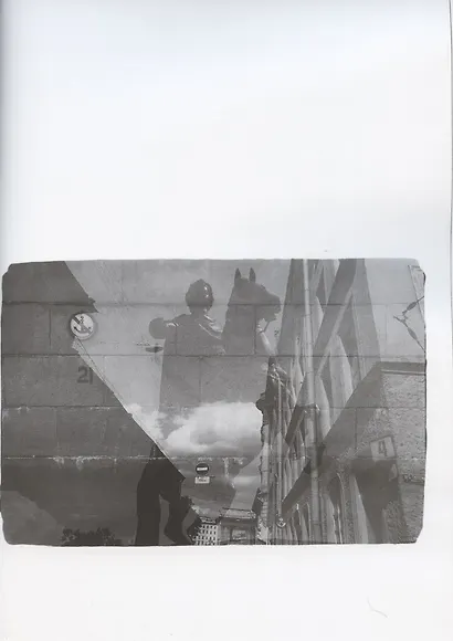 Быль и миф Невы. Пушкин А.С. Медный всадник. Фотоальбом - фото 3