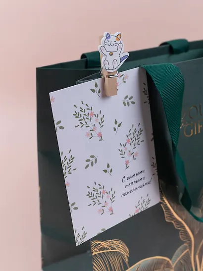 Набор Прищепки декоративные с веревкой 10 шт. Собачки+Прищепки декоративные с веревкой Котики (10шт) (11-22535-8396) (упаковка) - фото 15