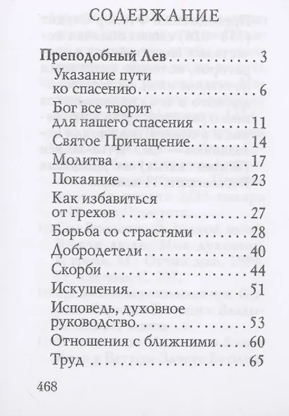 Оптинский цветник - фото 2