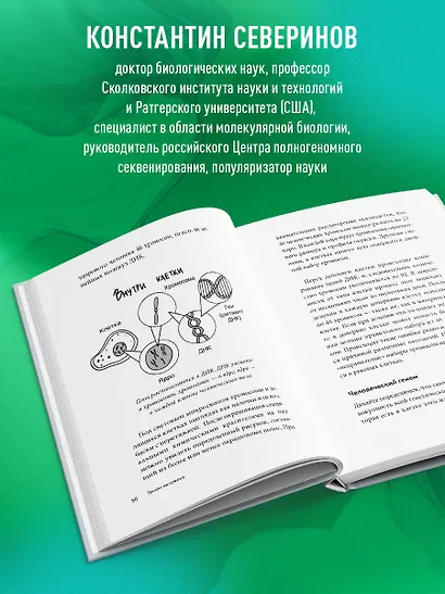 Тайный язык жизни. Диалог с ученым о генах, геномах и наследственности - фото 6
