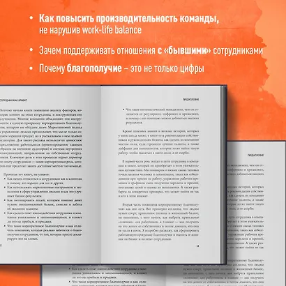 Сотрудник как клиент. HR-маркетинг для успеха бизнеса и победы в борьбе за таланты - фото 6