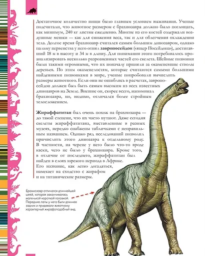 Динозавры. Большая энциклопедия - фото 5