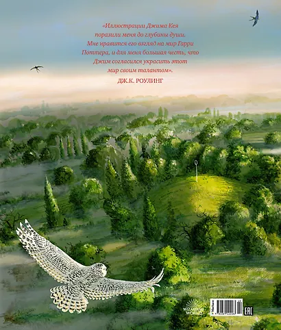 Гарри Поттер и Тайная комната (с цветными иллюстрациями) - фото 2