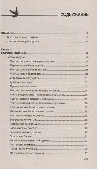 Разведение домашних голубей - фото 2