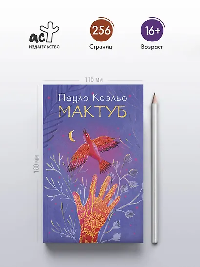 Мактуб - фото 4