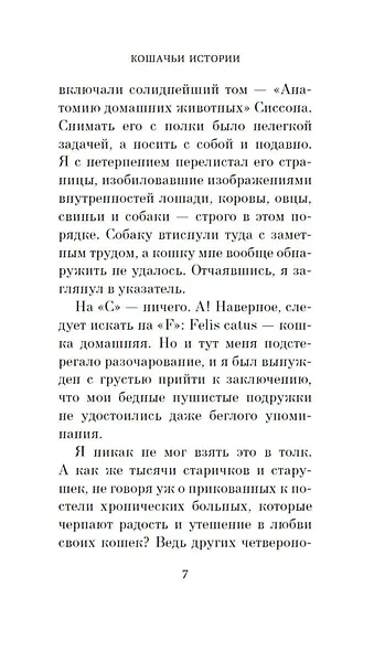 Кошачьи истории - фото 11