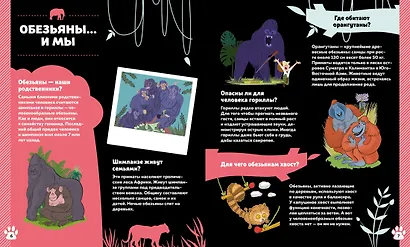 Дикие животные - фото 3