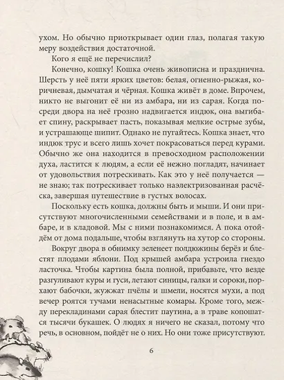 Приключения Птицы Курицы: сказочная история - фото 3