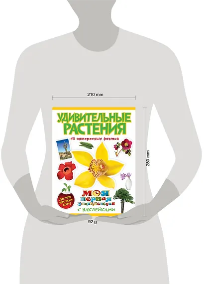 Удивительные растения - фото 3