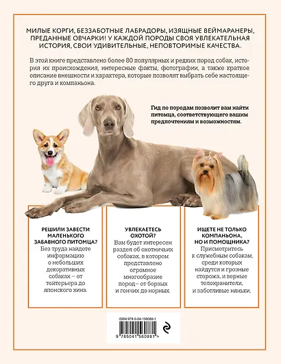 Собаки. Иллюстрированный гид по самым популярным породам - фото 2