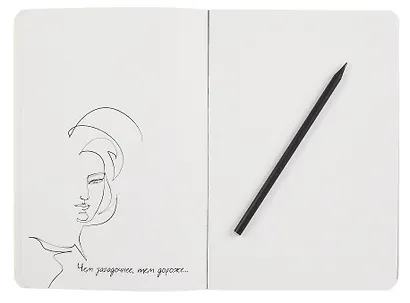 Скетчбук-перевертыш 165*240 32л "Черным по белому/Белым по черному (капибара)" 120г/м2, мягк.обл, офсет - фото 5
