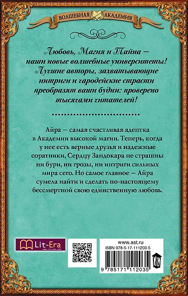 Академия высокого искусства. Провидица - фото 2