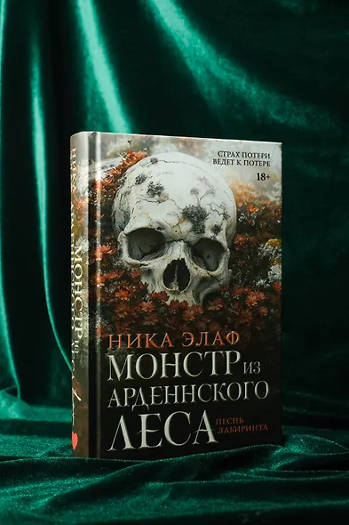 Монстр из Арденнского леса. Песнь лабиринта - фото 6