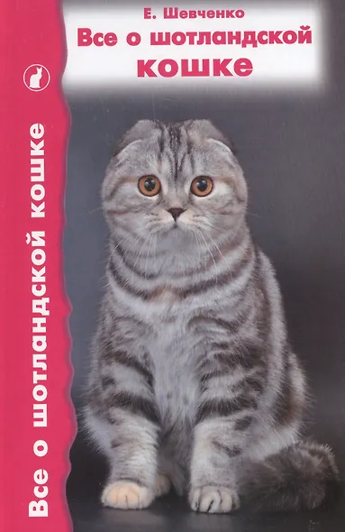 Все о шотландской кошке. Скоттиш фолды. Страйты. Хайленд фолды - фото 2