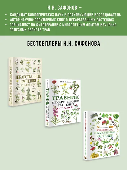 Лекарственные растения от А до Я. 50 карточек - фото 5