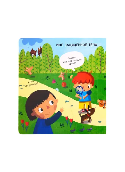 Мое тело: Вопросы и ответы для маленьких почемучек. Более 30 окошек - фото 6