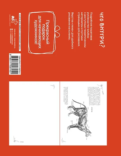 Анатомия для художников. Экспресс-курс + скетчбук - фото 2