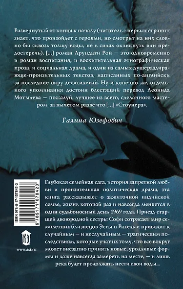 Бог Мелочей - фото 2