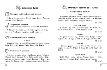 Пишу диктанты без ошибок: для начальной школы - фото 7