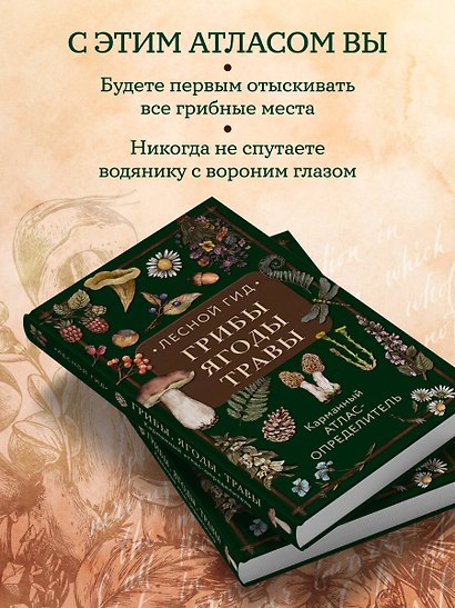 Лесной гид: грибы, ягоды, травы. Карманный атлас-определитель - фото 6