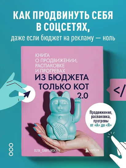 Из бюджета только кот 2.0. Книга о продвижении, распаковке и прогревах - фото 4