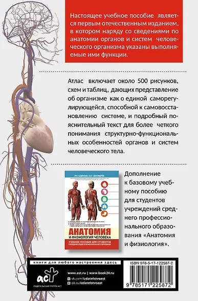 Атлас анатомии и физиологии человека. Учебное пособие для студентов учреждений среднего профессионального образования - фото 2