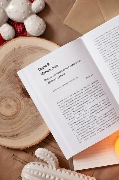 Тихая сила. Как достичь успеха если не любишь быть в центре внимания - фото 10