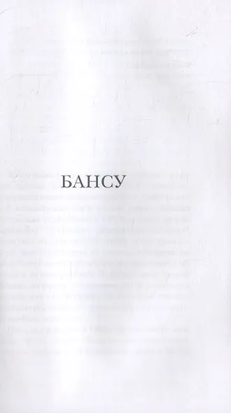 Бансу - фото 2