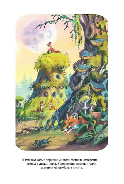 Огненный бог Марранов (ил. В. Канивца) - фото 13