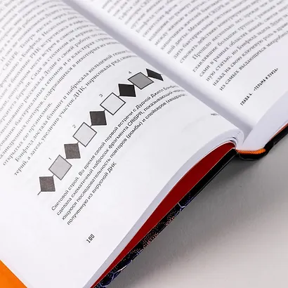 Редактируя человечество: Революция CRISPR и новая эра изменения генома - фото 4