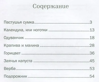 Лесная аптека. Сказочная энциклопедия лекарственных растений - фото 7