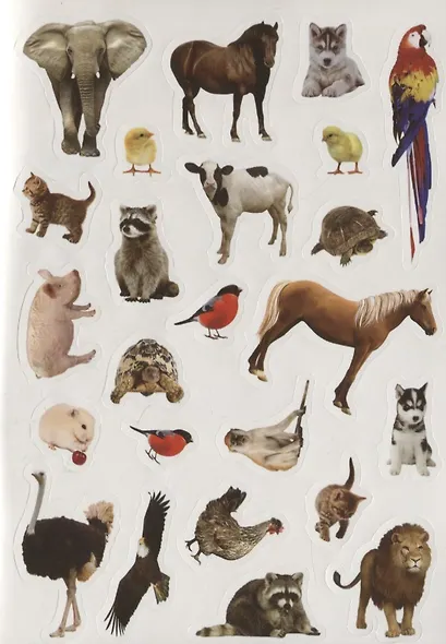 Книжка с наклейками "Счет" - фото 3