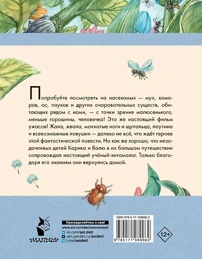 Необыкновенные приключения Карика и Вали - фото 2