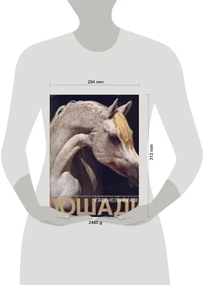 Лошади: Альбом - фото 2