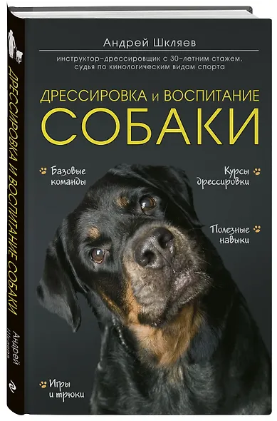 Дрессировка и воспитание собаки - фото 3