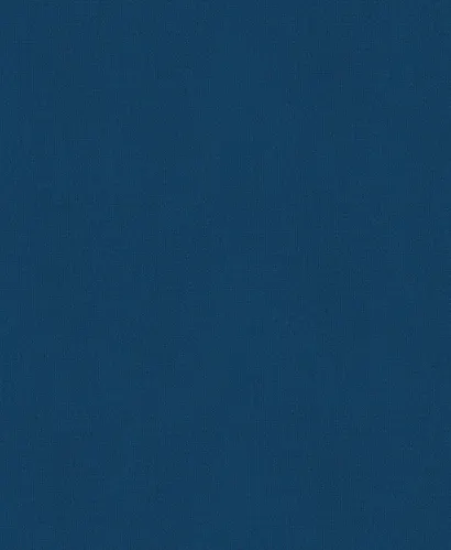 История России. 1740-1796 г. - фото 2