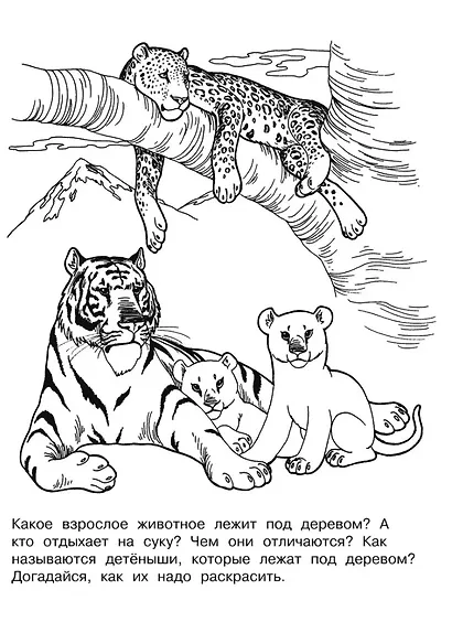 Изучаем животных. Раскраска серии "Скоро в школу" - фото 3