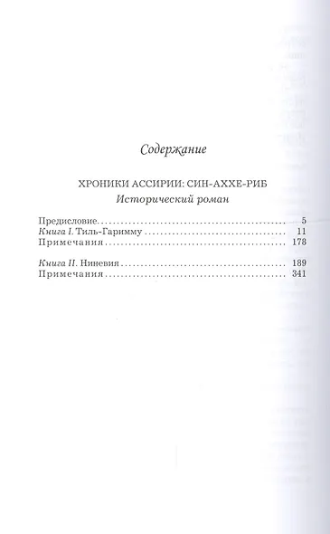 Терра.Хроники Ассирии.Син-Аххе-Риб.Кн.1.Тиль-Гаримму.Кн.2.Ниневия (18+) - фото 2