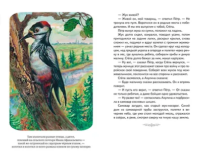 Кот-ворюга. Рассказы и сказки (ил. А. Кардашука) - фото 11