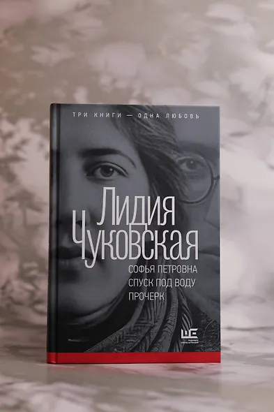 Софья Петровна. Спуск под воду. Прочерк - фото 4