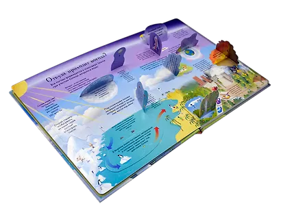 Открой тайны погоды и климата - фото 2