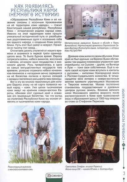 Разговор о важном. Символы Республики Коми - фото 2