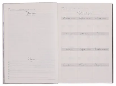 Ежедневник недат. А5 160л "Наппа. Аффирмации" золотистый, кожзам, мягк. переплет, тисн.фольгой, офсет, справ.мат-лы, 2 ляссе, инд.уп - фото 4